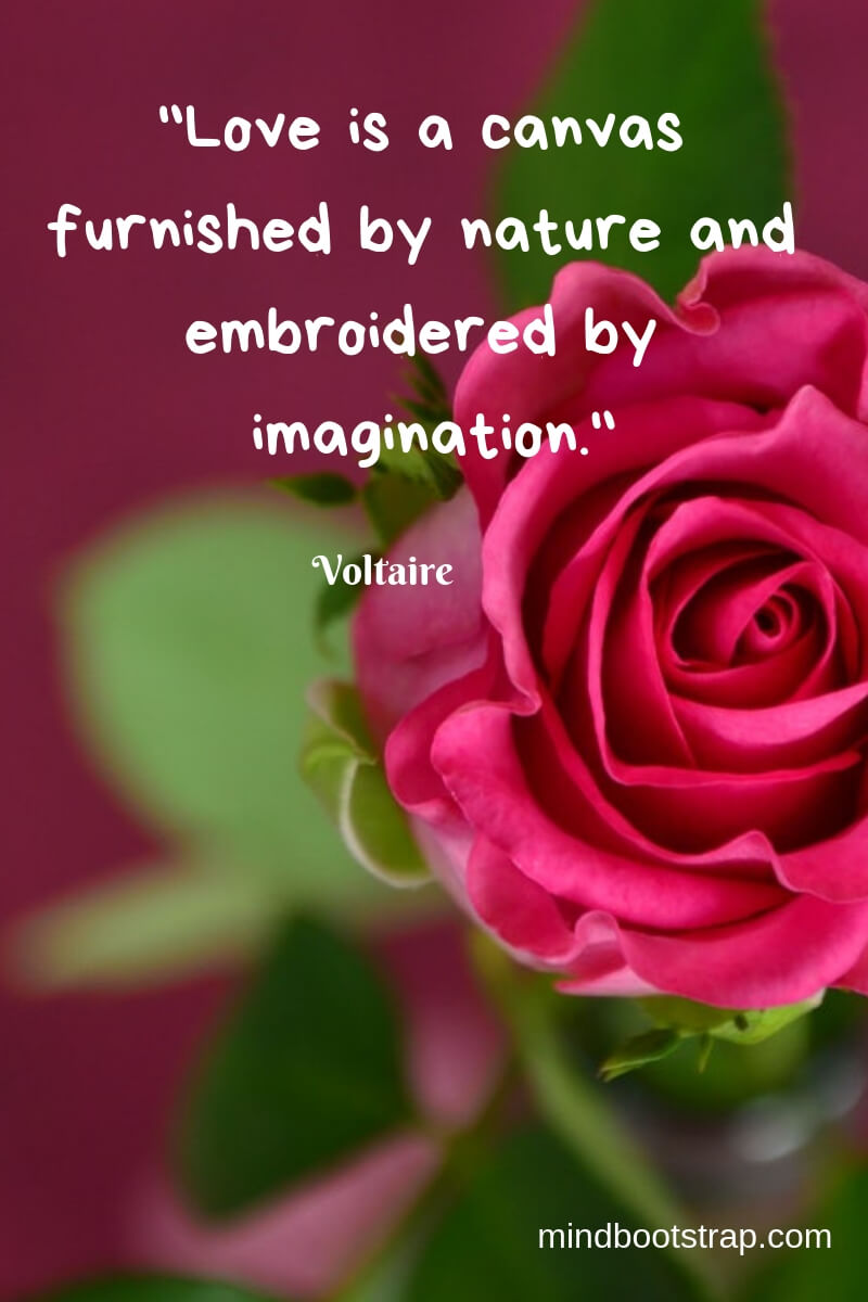 400+ Best Valentine's Day Quotes To Express With Your Beloved (With Images)