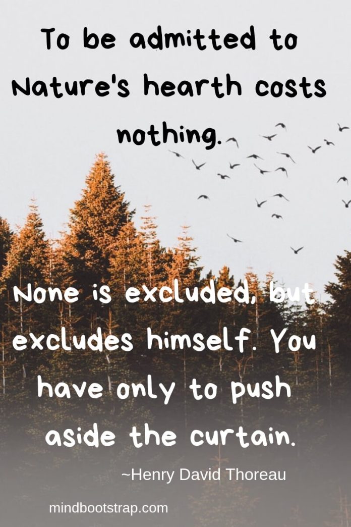 77+ Inspiring Henry David Thoreau Quotes About Life, Love