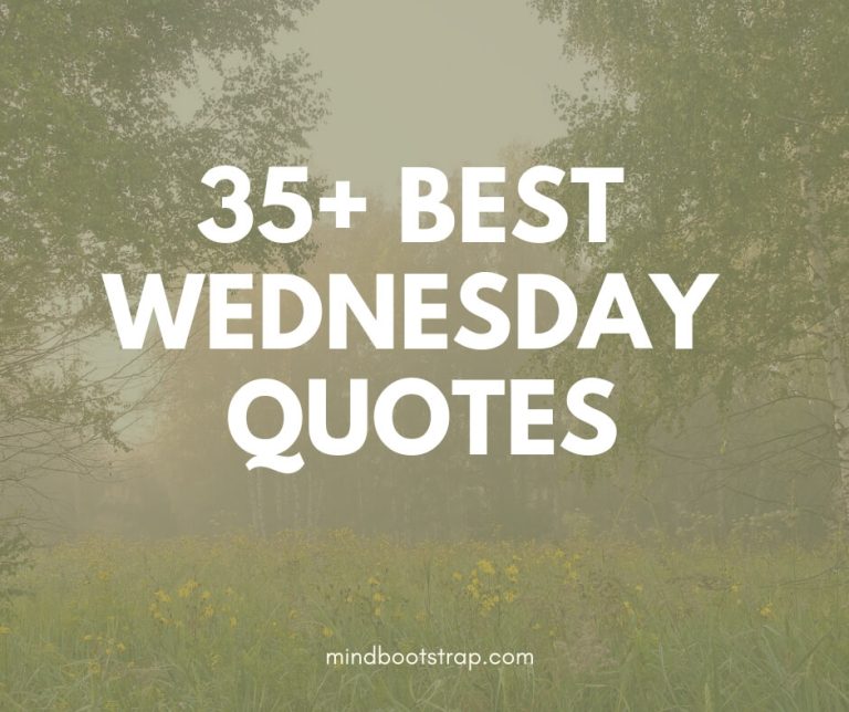 Best Wednesday quotes & sayings