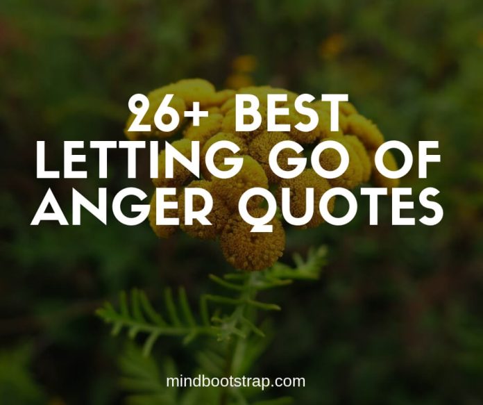 Best letting go of anger quotes and sayings