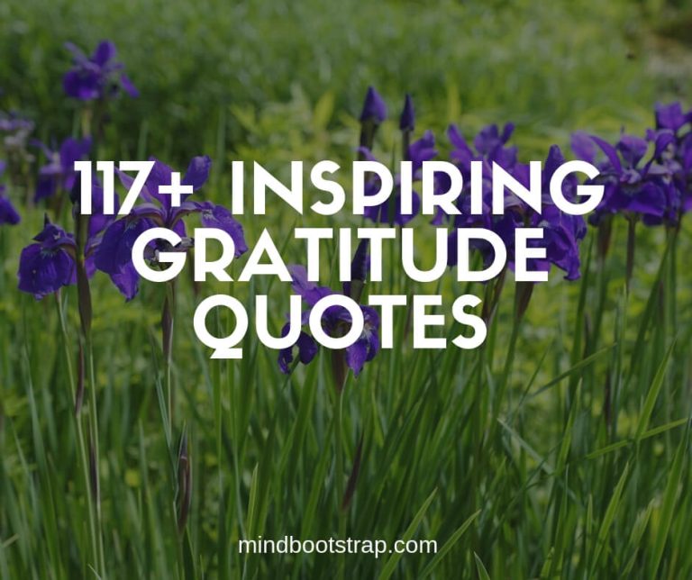 Best gratitude quotes and sayings
