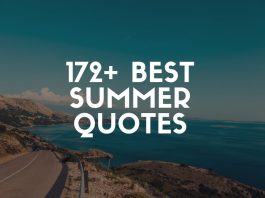 best summer quotes and sayings