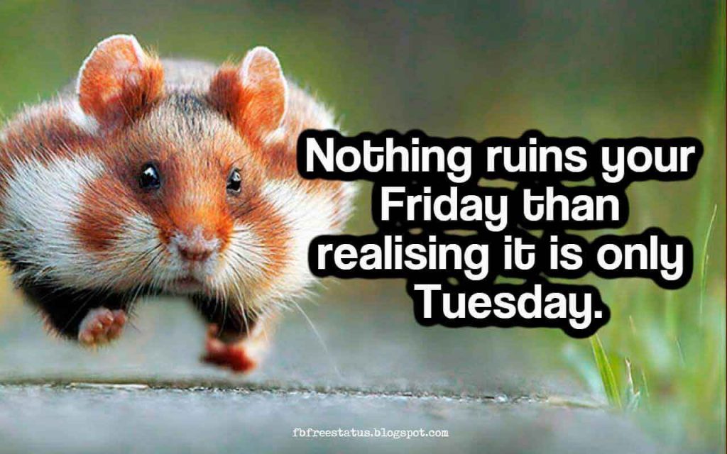 73+ Inspiring Tuesday Quotes and Sayings (With Images) - Quotelicious