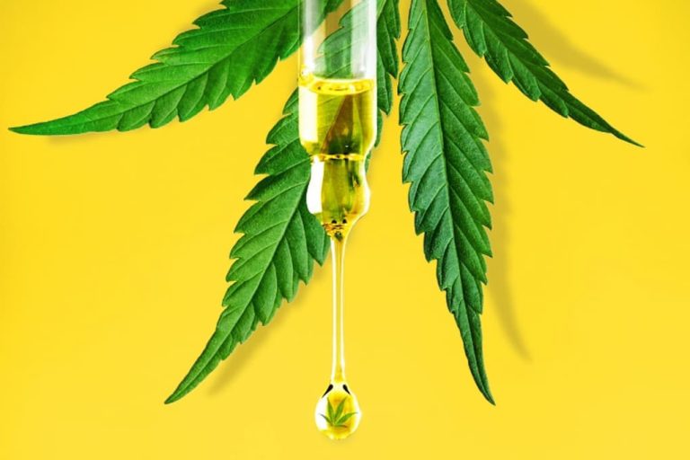 Top 5 Ways to Use Cbd Oil For Dogs Similar To Human Use