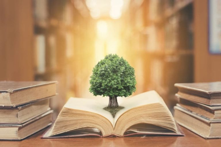 Philosophy of Education: Ultimate Guide