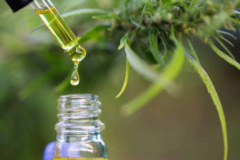 Bulk Buying CBD Tinctures is a Great Idea for These 6 Reasons
