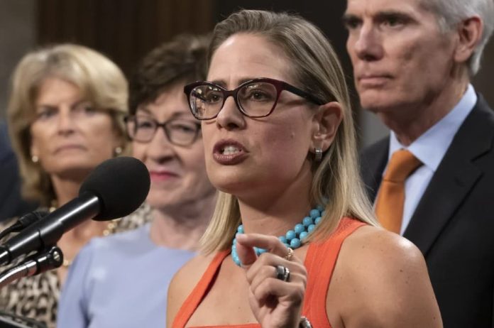 Kyrsten Sinema Net Worth: America’s Rising Political Star (2025)