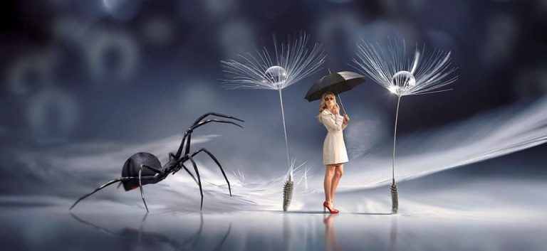 How To Interpret Visions And Dreams Of Animals?